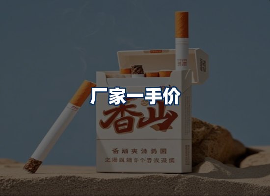 专业团队办公环境